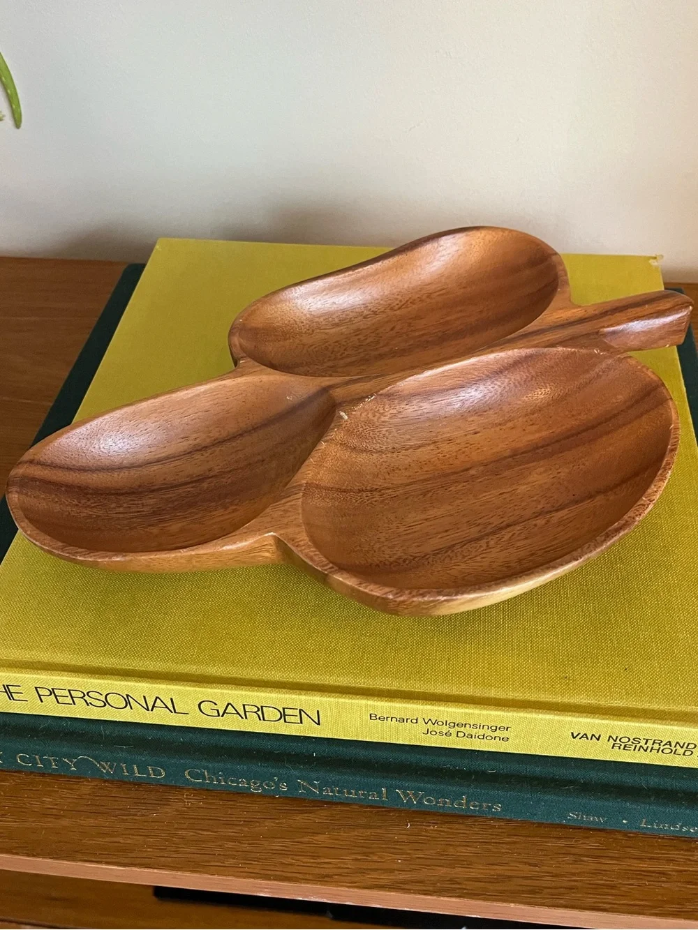 Wood Serving Dish Trio - Natural Brown